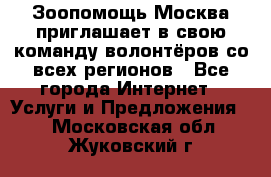 Зоопомощь.Москва приглашает в свою команду волонтёров со всех регионов - Все города Интернет » Услуги и Предложения   . Московская обл.,Жуковский г.